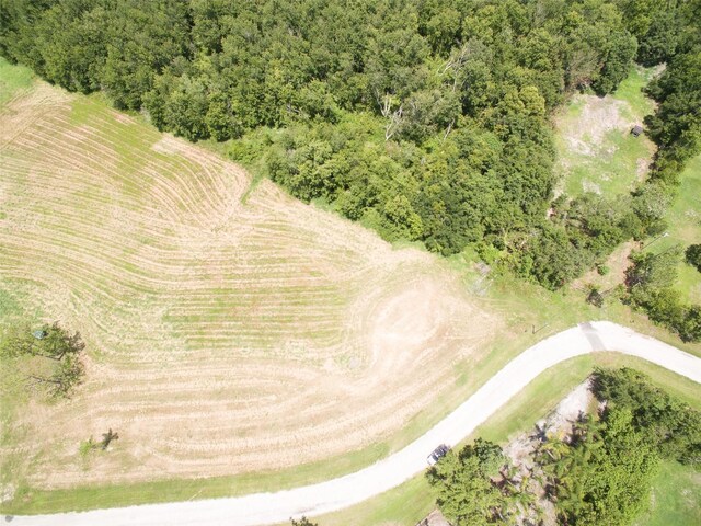 0000 Fanny Bass Ln, Saint Cloud, FL 34772 - photo 24