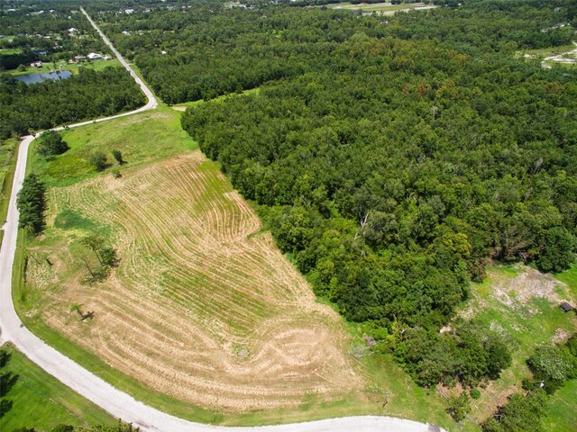 0000 Fanny Bass Ln, Saint Cloud, FL 34772 - photo 25