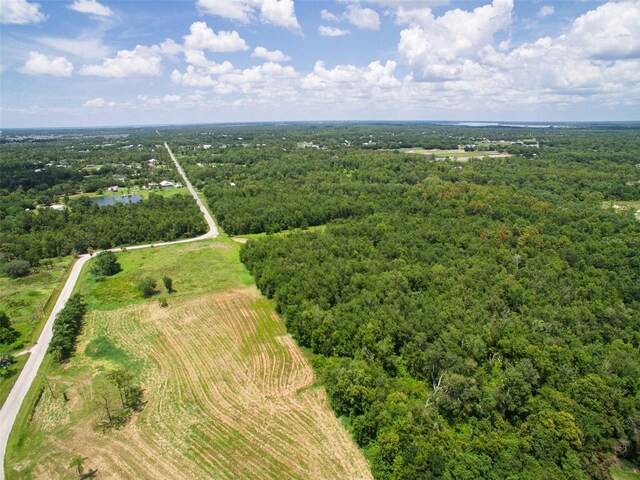 0000 Fanny Bass Ln, Saint Cloud, FL 34772 - photo 26