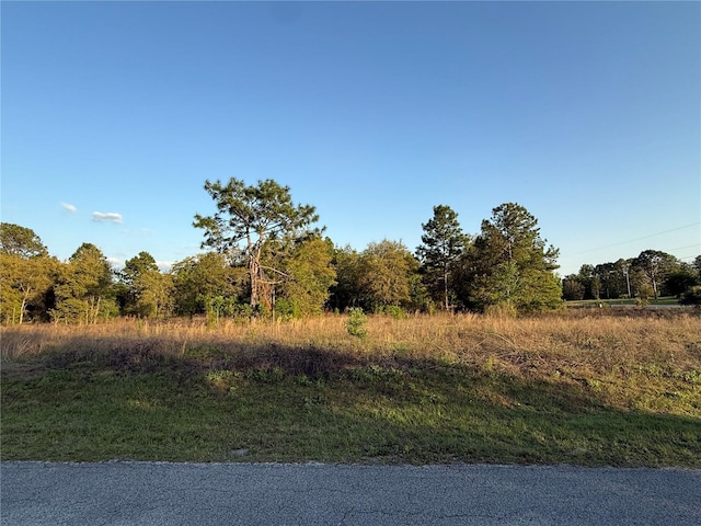 LOT2 SW 65th Loop, Dunnellon FL, 34432 land for sale