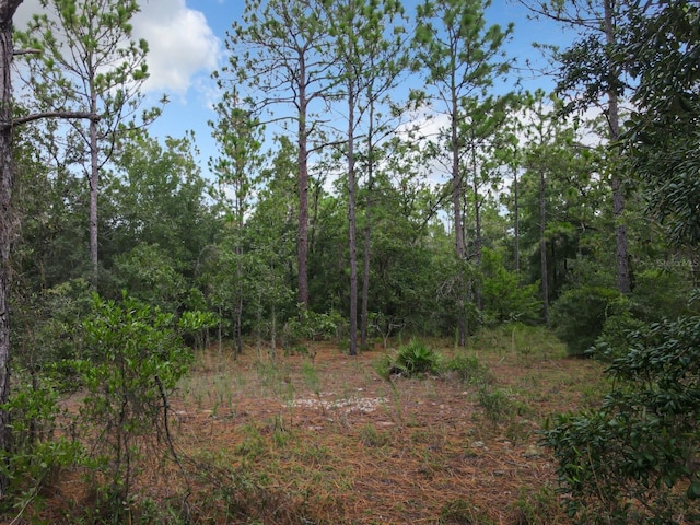 100th St, Ocala, FL 34481