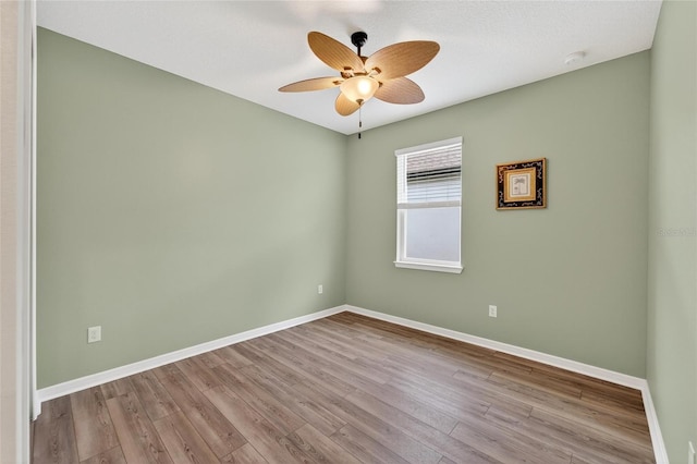 5965 Shorebird Br, Land O Lakes, FL 34638 - photo 32