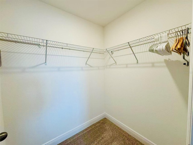 5019 Down Ct, Saint Cloud, FL 34772 - spacious closet featuring carpet flooring