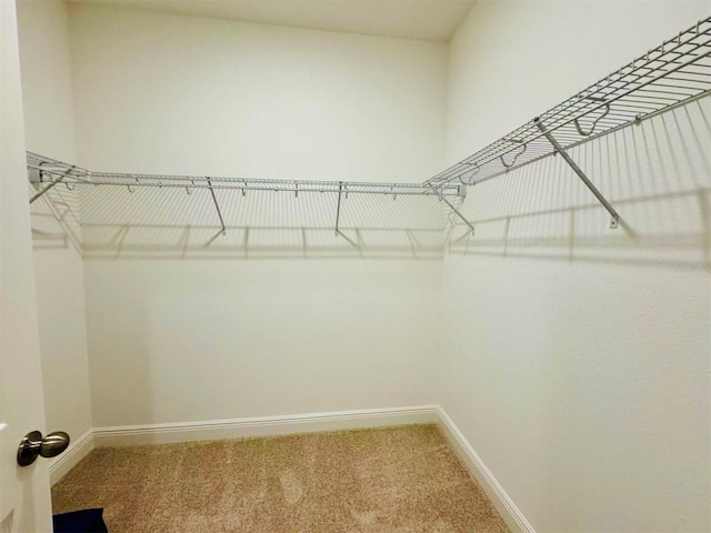 5019 Down Ct, Saint Cloud, FL 34772 - spacious closet with carpet flooring
