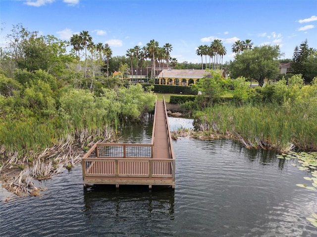 6714 Bouganvillea Crescent Dr, Orlando, FL 32809 - photo 39