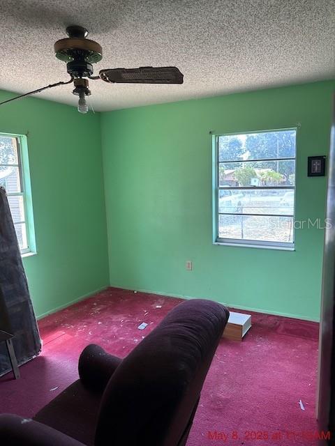 2117 Lemon St, Haines City, FL 33844 - bedroom featuring carpet floors, a textured ceiling, ceiling fan, and baseboards