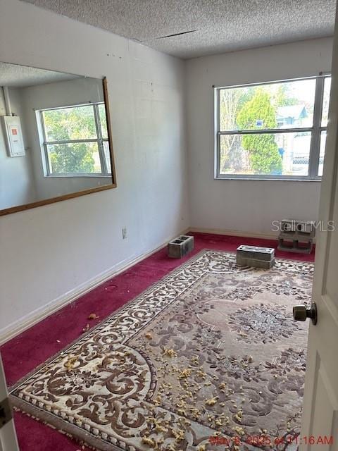 2117 Lemon St, Haines City, FL 33844 - empty room with a textured ceiling, electric panel, and baseboards