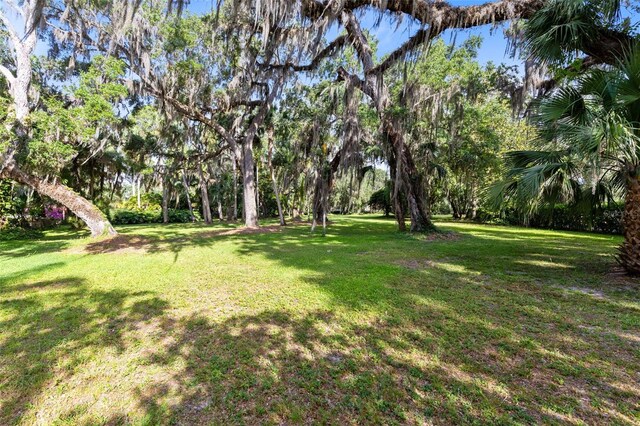 0 Das Ct, Kissimmee, FL 34744 - photo 2