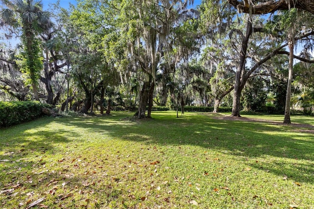 0 Das Ct, Kissimmee, FL 34744 - photo 3