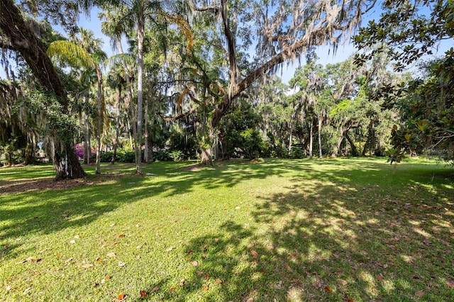 0 Das Ct, Kissimmee, FL 34744 - photo 4