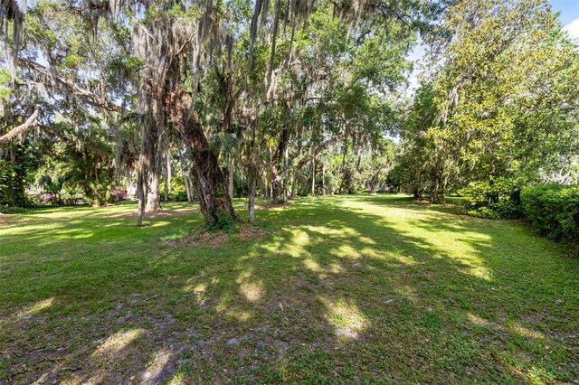 0 Das Ct, Kissimmee, FL 34744 - photo 5