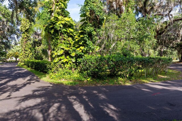 0 Das Ct, Kissimmee, FL 34744 - photo 7