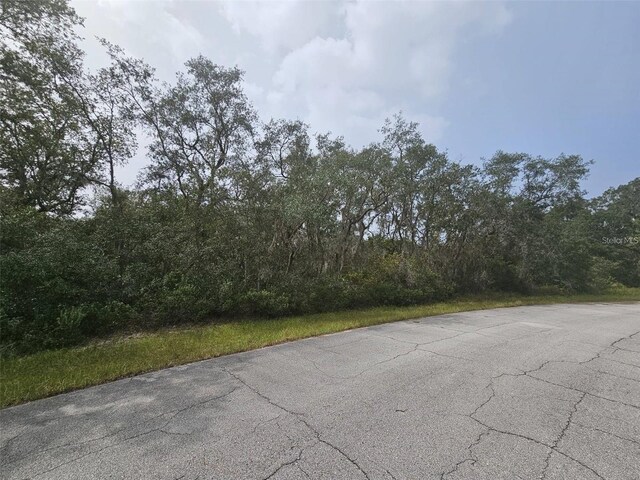 1255 Baltic Dr, Kissimmee, FL 34759 - photo 2