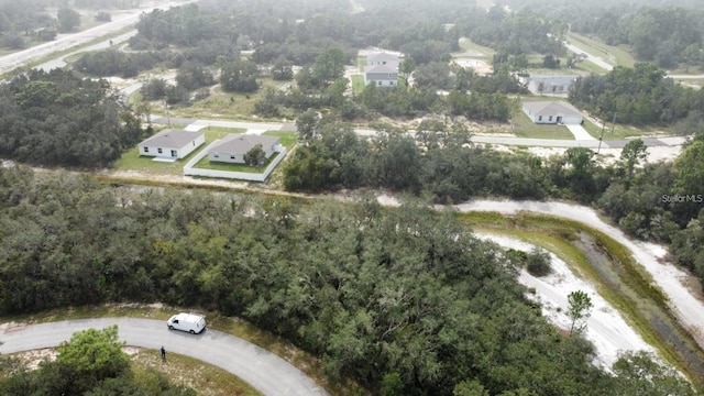 1255 Baltic Dr, Kissimmee, FL 34759 - photo 3