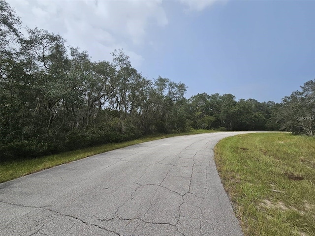 1255 Baltic Dr, Kissimmee, FL 34759 - photo 4