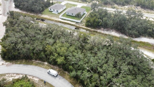 1255 Baltic Dr, Kissimmee, FL 34759 - photo 8
