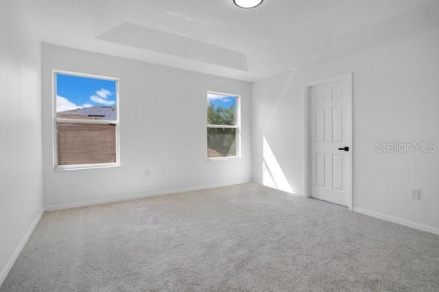 227 Sand Ridge Dr, Davenport, FL 33896 - carpeted empty room with baseboards and a raised ceiling