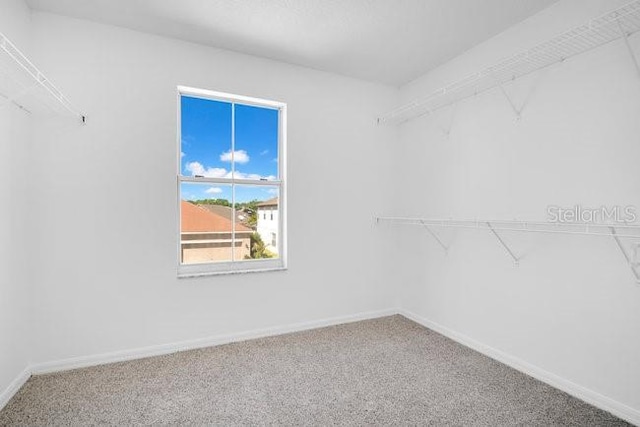227 Sand Ridge Dr, Davenport, FL 33896 - walk in closet with carpet floors