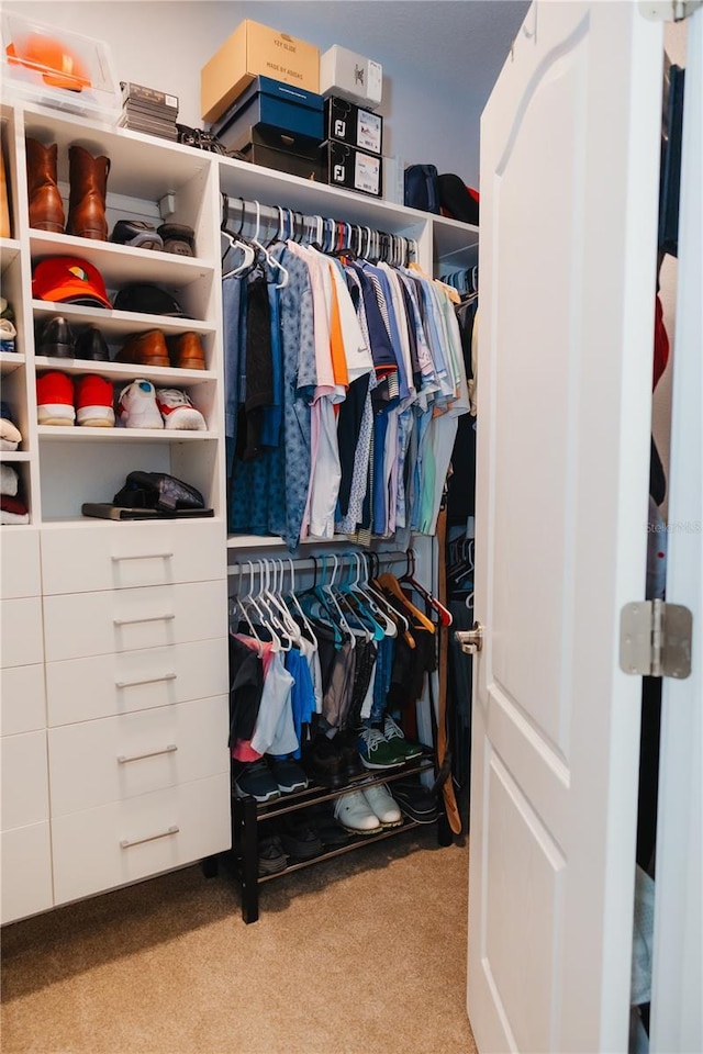 walk in closet with carpet floors