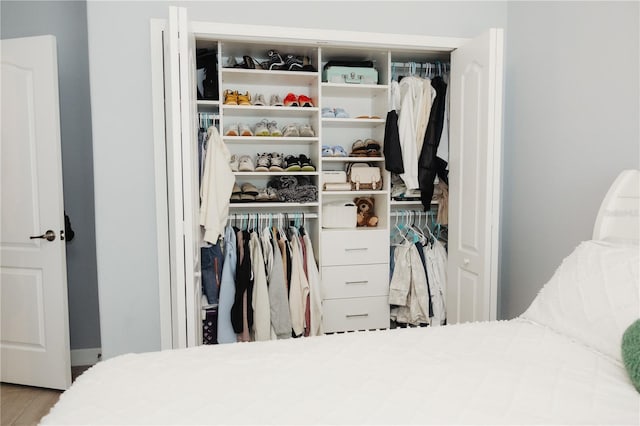 view of closet
