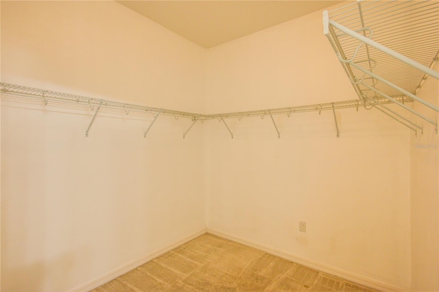 5118 Tiber Way, Saint Cloud, FL 34771 - walk in closet featuring light colored carpet