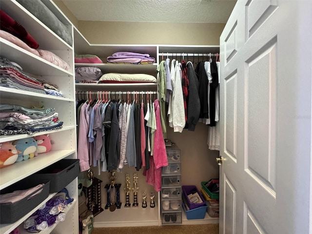 9435 Myrtle Creek Ln Unit 304, Orlando, FL 32832 - spacious closet featuring carpet flooring