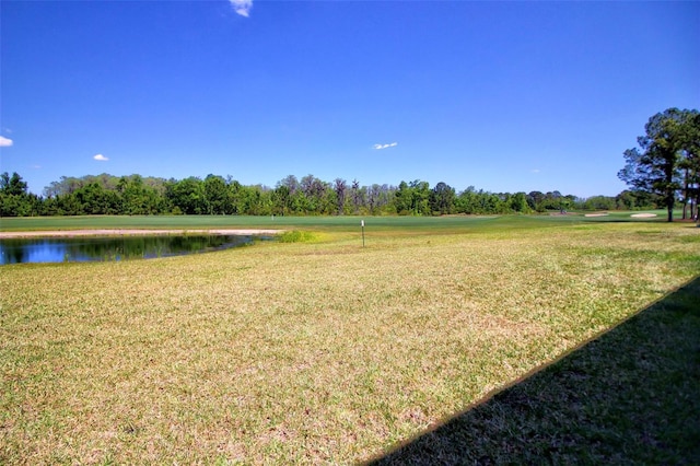 9435 Myrtle Creek Ln Unit 304, Orlando, FL 32832 - view of property's community featuring a yard and a water view