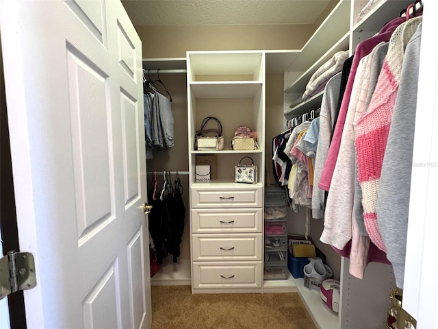 9435 Myrtle Creek Ln Unit 304, Orlando, FL 32832 - spacious closet with light colored carpet