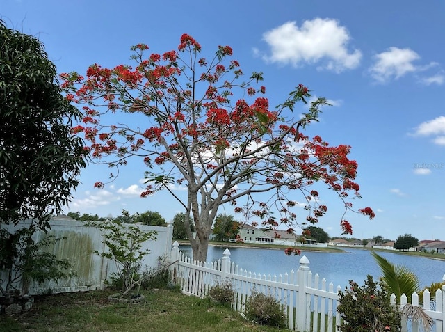 954 Hacienda Cir, Kissimmee, FL 34741 - water view with fence