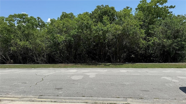 954 Hacienda Cir, Kissimmee, FL 34741 - view of asphalt road featuring curbs