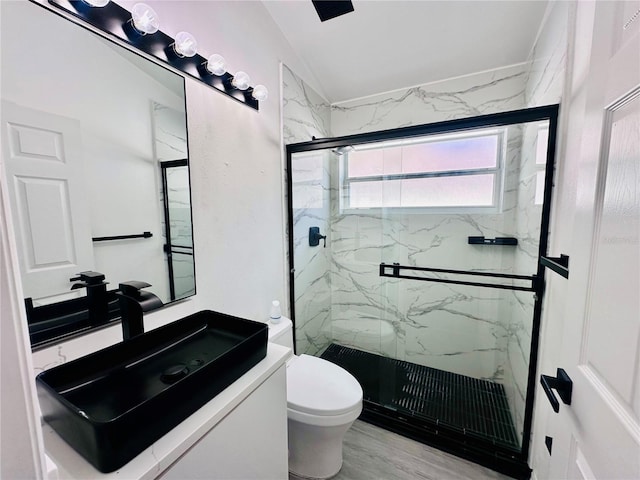 full bathroom featuring vaulted ceiling, toilet, vanity, and a marble finish shower