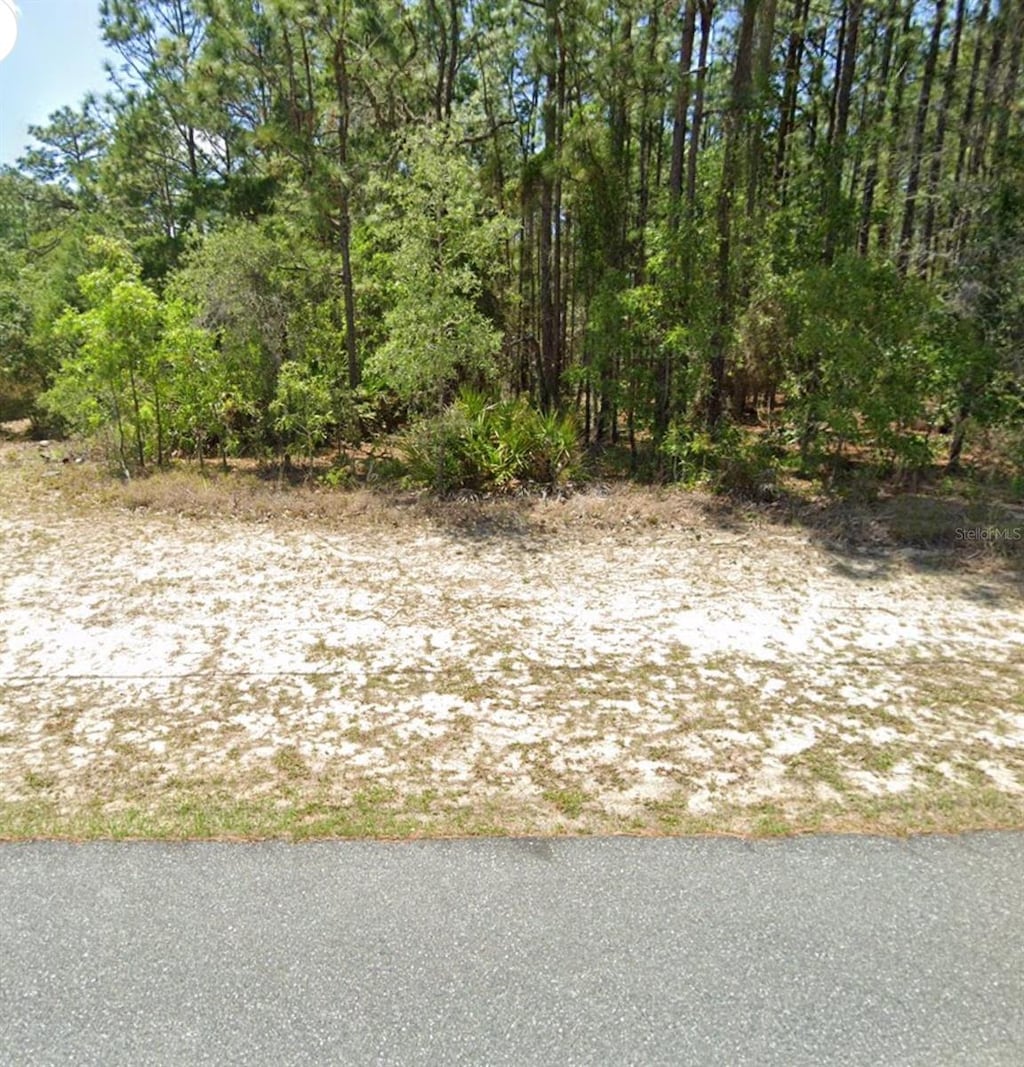 9660 N Paradisea Dr, Citrus Springs, FL 34433