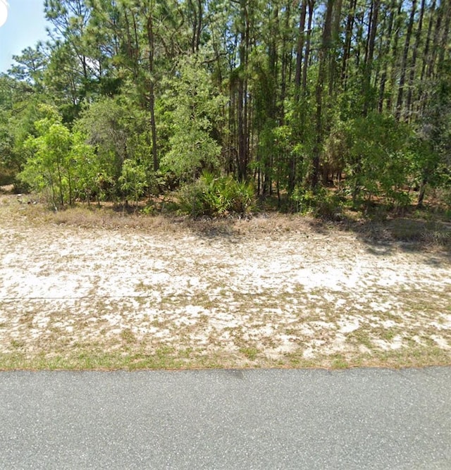 9660 N Paradisea Dr, Citrus Springs, FL 34433