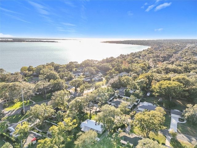 905 W 11th Ave, Mount Dora, FL 32757 - view of property location with a nearby body of water