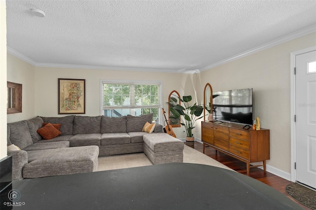 4820 Conway Rd Unit 130, Orlando, FL 32812 - living area featuring ornamental molding, a textured ceiling, wood finished floors, and baseboards