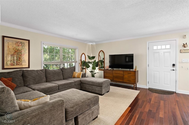 4820 Conway Rd Unit 130, Orlando, FL 32812 - living room featuring ornamental molding, dark wood-style floors, a textured ceiling, and baseboards