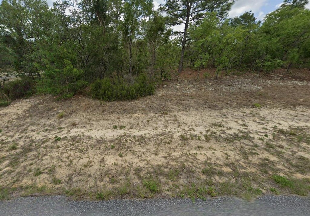3804 W Baton Ln, Citrus Springs, FL 34433 - photo 2