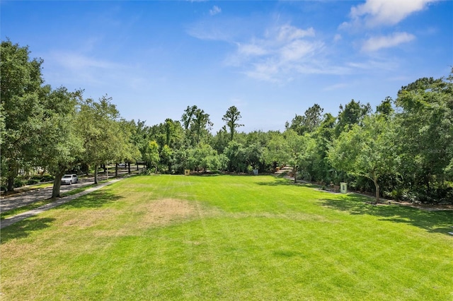 view of yard