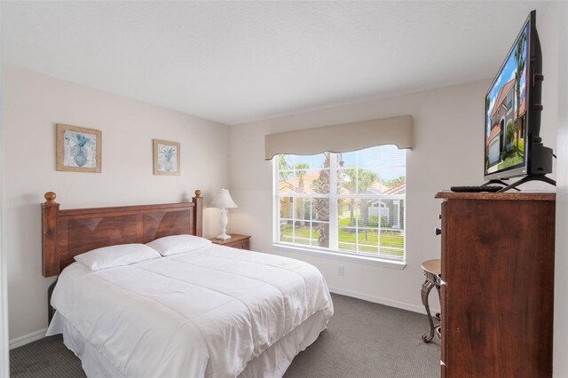 301 Rosso Dr, Davenport, FL 33837 - bedroom with carpet and baseboards