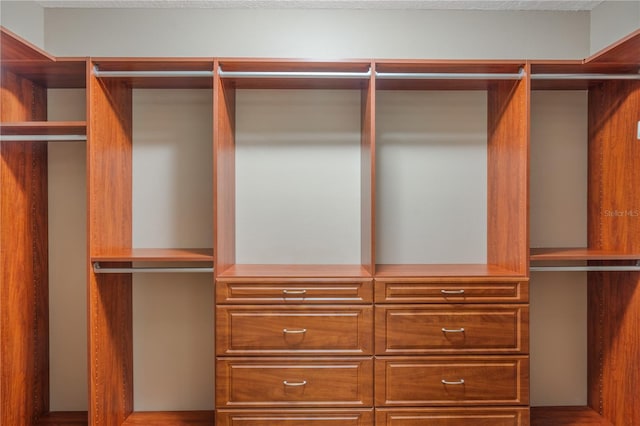 view of walk in closet