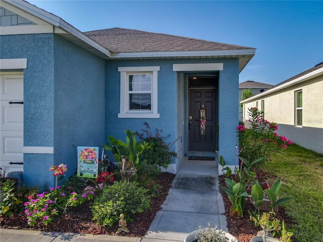 doorway to property with stucco siding and a shingled roof