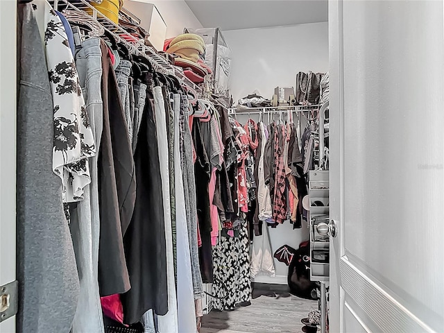 walk in closet featuring wood finished floors