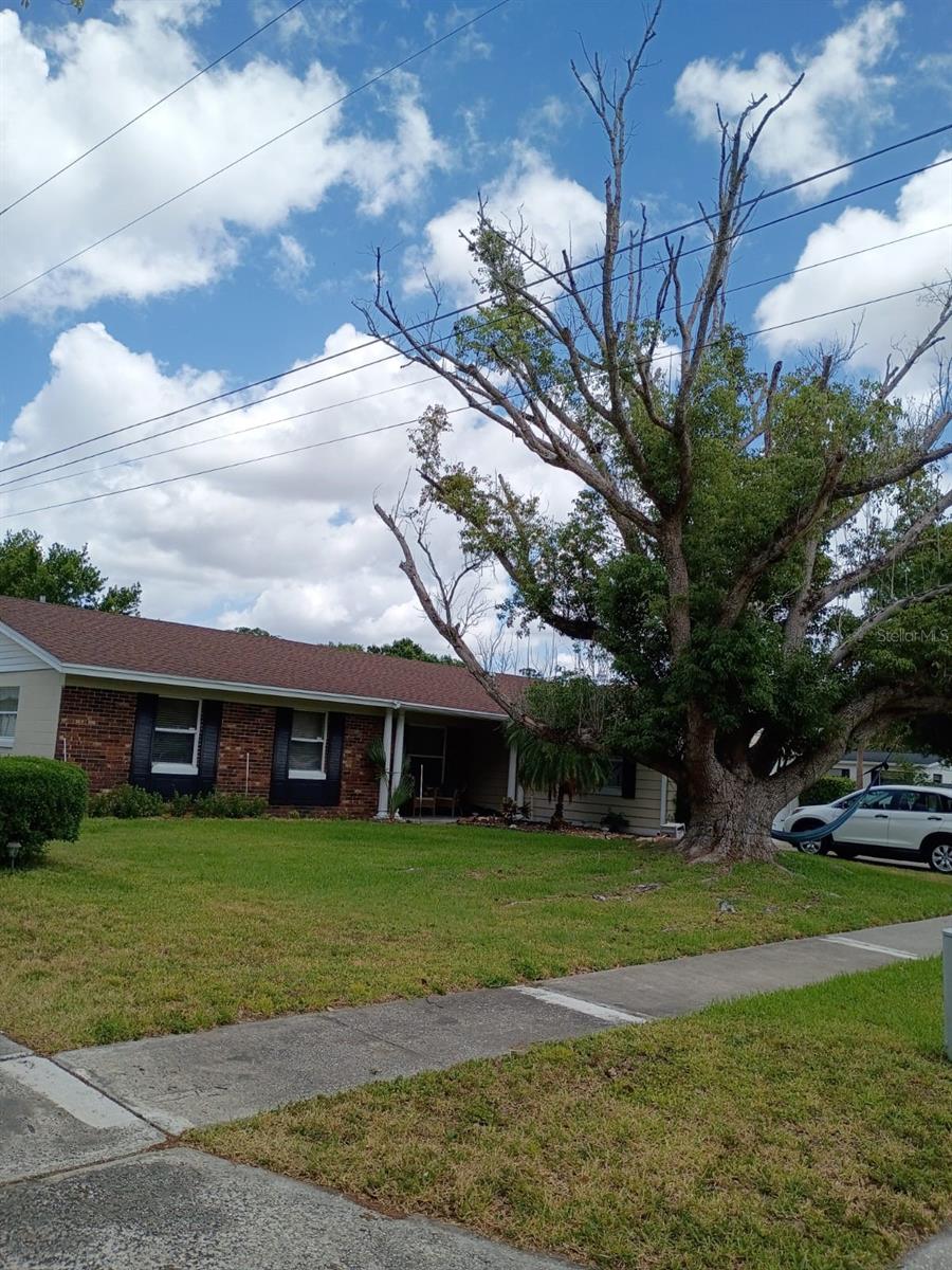 3231 Lowndes Dr, Winter Park, FL 32792 - single story home with a front yard and brick siding