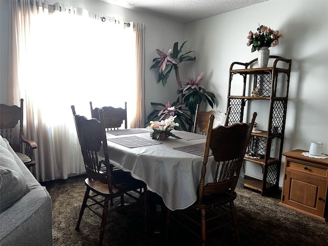 2659 Crown Ct Unit 11, Kissimmee, FL 34741 - dining area with a textured ceiling and dark colored carpet