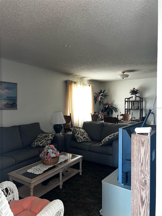 2659 Crown Ct Unit 11, Kissimmee, FL 34741 - living room featuring a textured ceiling and carpet