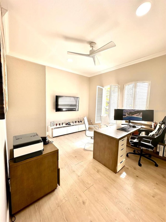office featuring ornamental molding, a ceiling fan, and light wood-style flooring