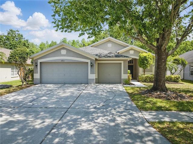 19713 Ellendale Dr, Land O Lakes, FL 34638 - photo 1