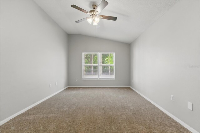 19713 Ellendale Dr, Land O Lakes, FL 34638 - photo 18