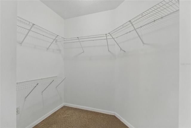 19713 Ellendale Dr, Land O Lakes, FL 34638 - photo 25
