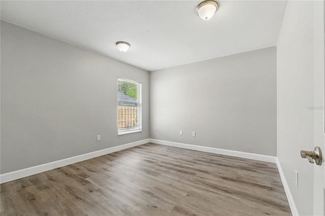 19713 Ellendale Dr, Land O Lakes, FL 34638 - photo 29